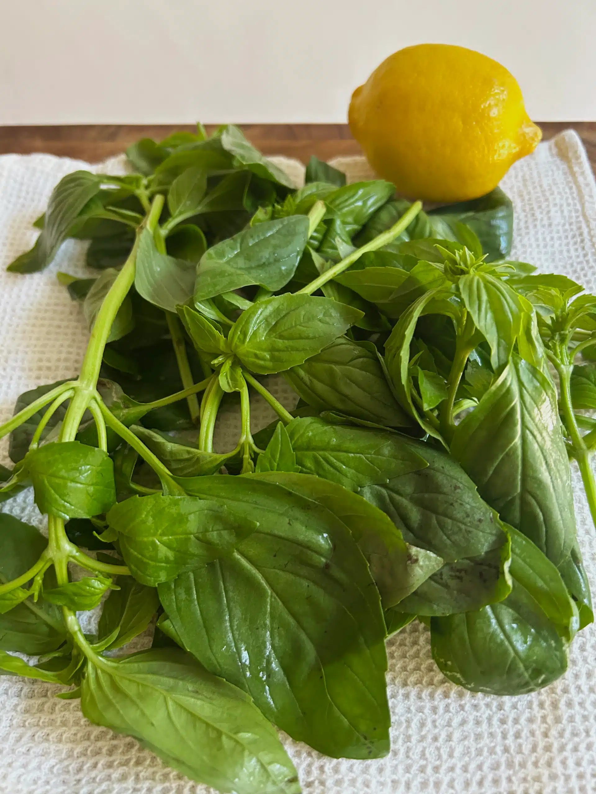 Fresh Basil for Low-Calorie Pesto Sauce